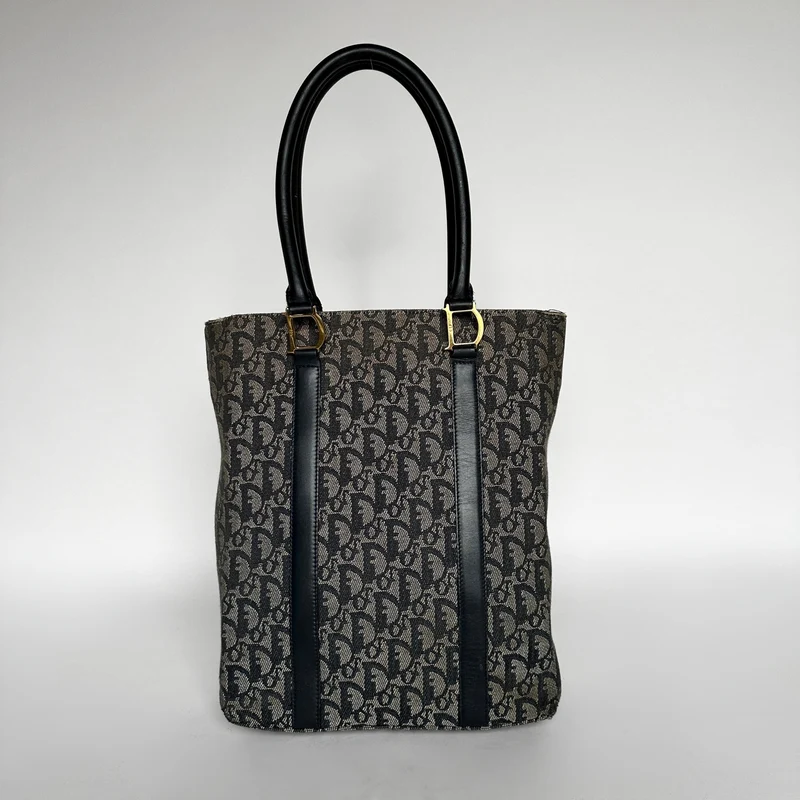 Dior Shopper Toile oblique