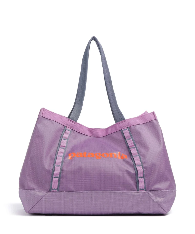 Patagonia Black Hole 25 Cabas brisk purple